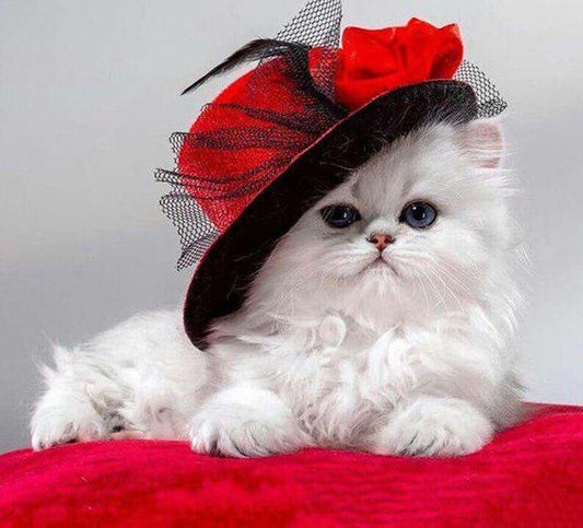 Eine noble Katzenmalerei - Diamond Painting