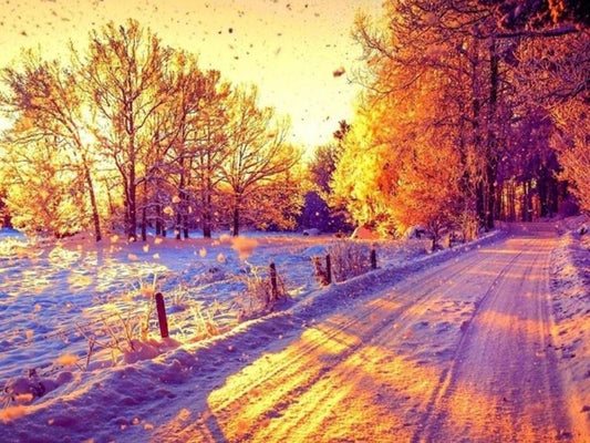 Erstaunliche verschneite Straße im Winter - Diamond Painting