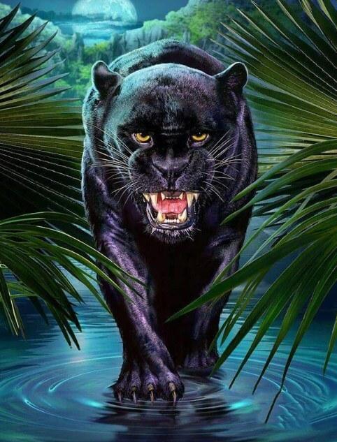 schwarz Panther DIY Diamond Painting - Diamond Painting
