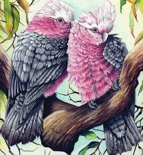 Nymphensittichpaar Diamond Painting - Diamond Painting