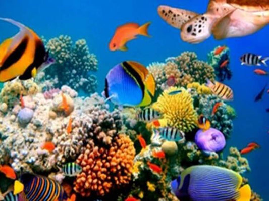 Korallenfische von Malaysia - Diamond Painting