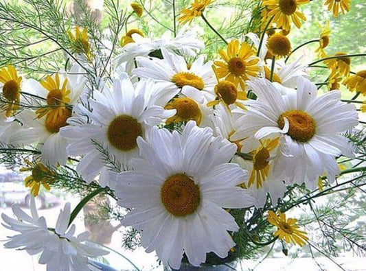 Gänseblümchen Diamond Painting Kit - Diamond Painting