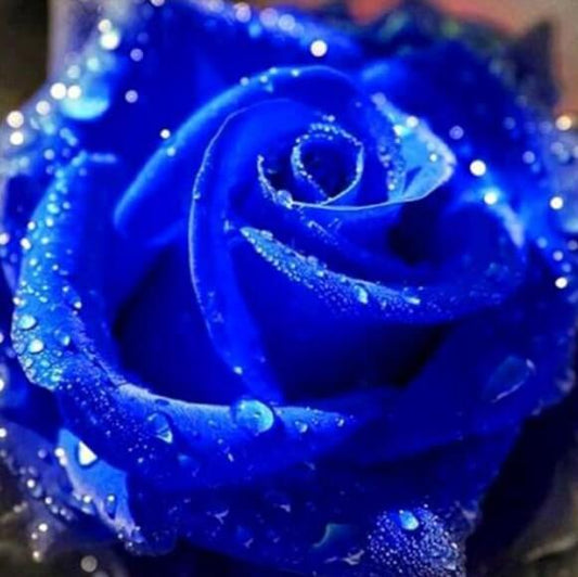 Diamantblaue Rose - Diamond Painting
