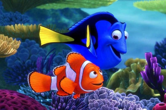 Suche nach Nemo - Diamond Painting Kit - Diamond Painting