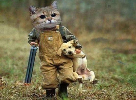 Lustige Gangster Katze und Welpe - Diamond Painting