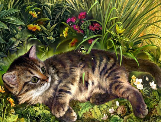 Gartenkatze - Farbe von Diamanten - Diamond Painting