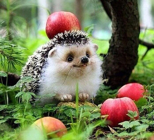 Glückliches Igel-Mal-Kit - Diamond Painting