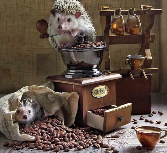 Igel DIY Malerei Kit - Diamond Painting