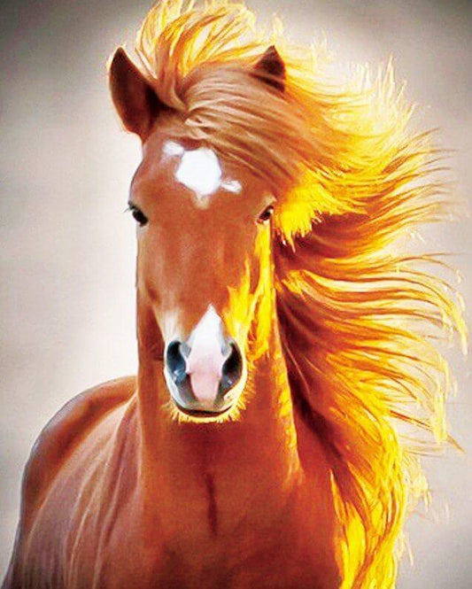 Pferd 5D Diamond Painting Kit - Diamond Painting