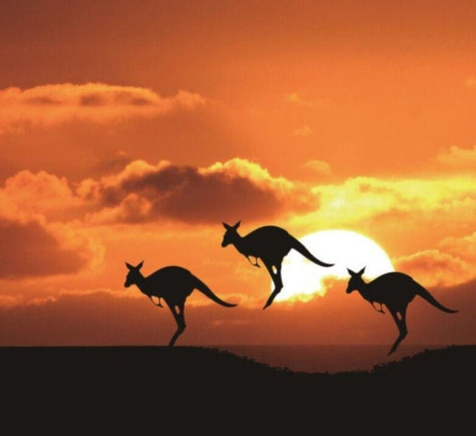 Kängurus & Sonnenuntergang Diamantmalerei - Diamond Painting