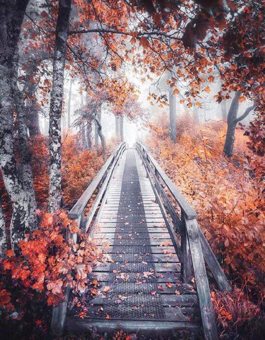 Weg zum Wald - Diamond Painting