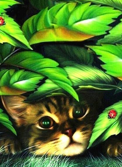Peeping Katze Diamond Painting Kit - Diamond Painting