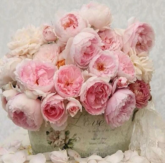 Pfingstrose 3D Diamond Painting Kit - Diamond Painting