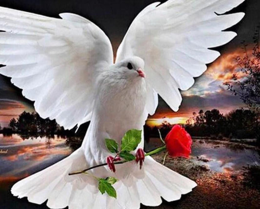 Taube mit roter Rose - Diamond Painting