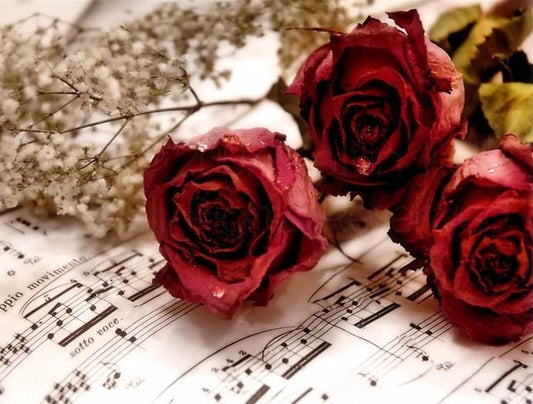 Rosen DIY Malerei Kit - Diamond Painting