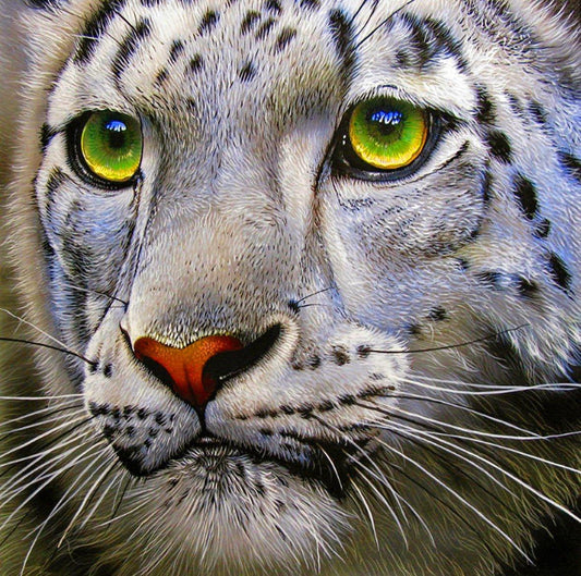 Schneeleopard mit grünen Augen - Diamond Painting