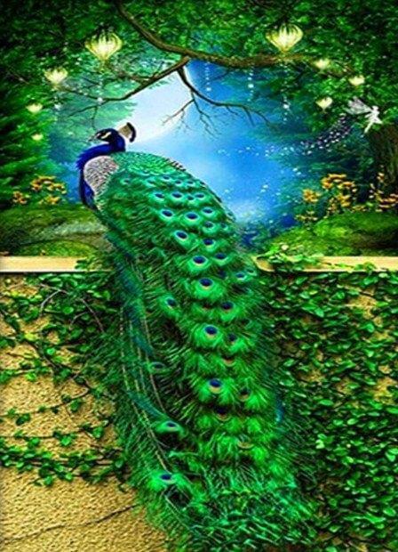 Atemberaubende Pfau Malerei Kit - Diamond Painting