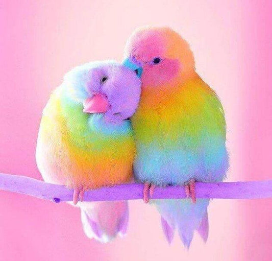 Sweet Birds Diamantmalerei - Diamond Painting