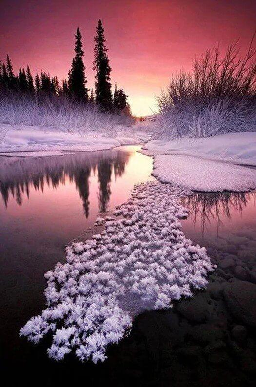 Winter in Alaska Diamond Painting - Diamond Painting