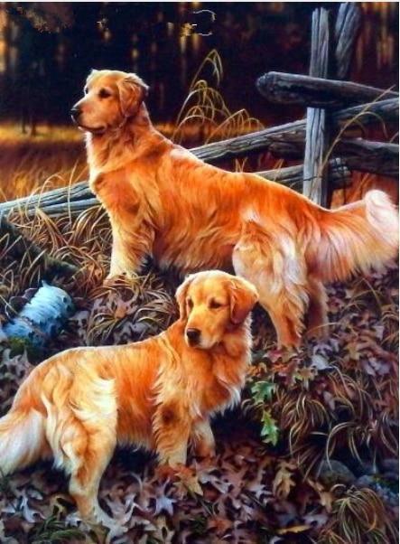 Hundesammlung DIY Diamond Paintings - Diamond Painting