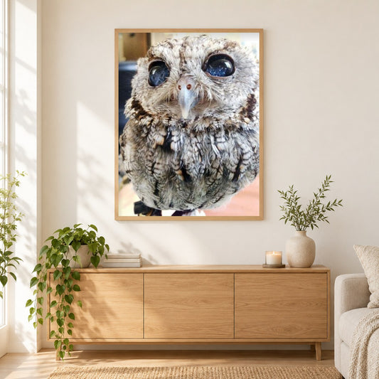 Blinde Eule mit sternenklaren Augen als gerahmtes Diamond Painting im Wohnzimmer