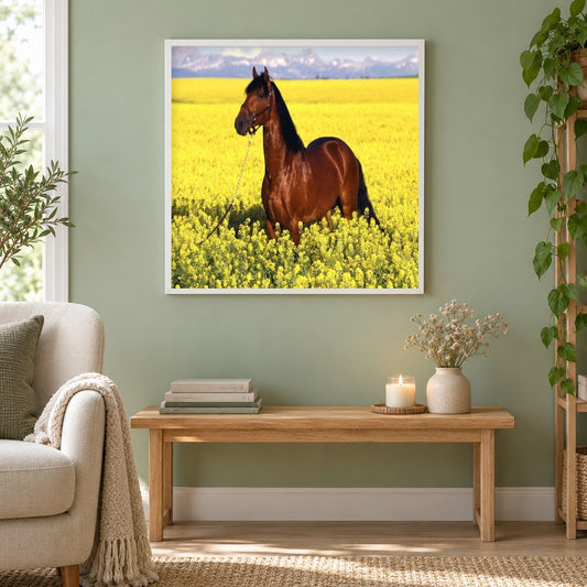 Braunes Pferd in gelben Feldern als gerahmtes Diamond Painting im Wohnzimmer