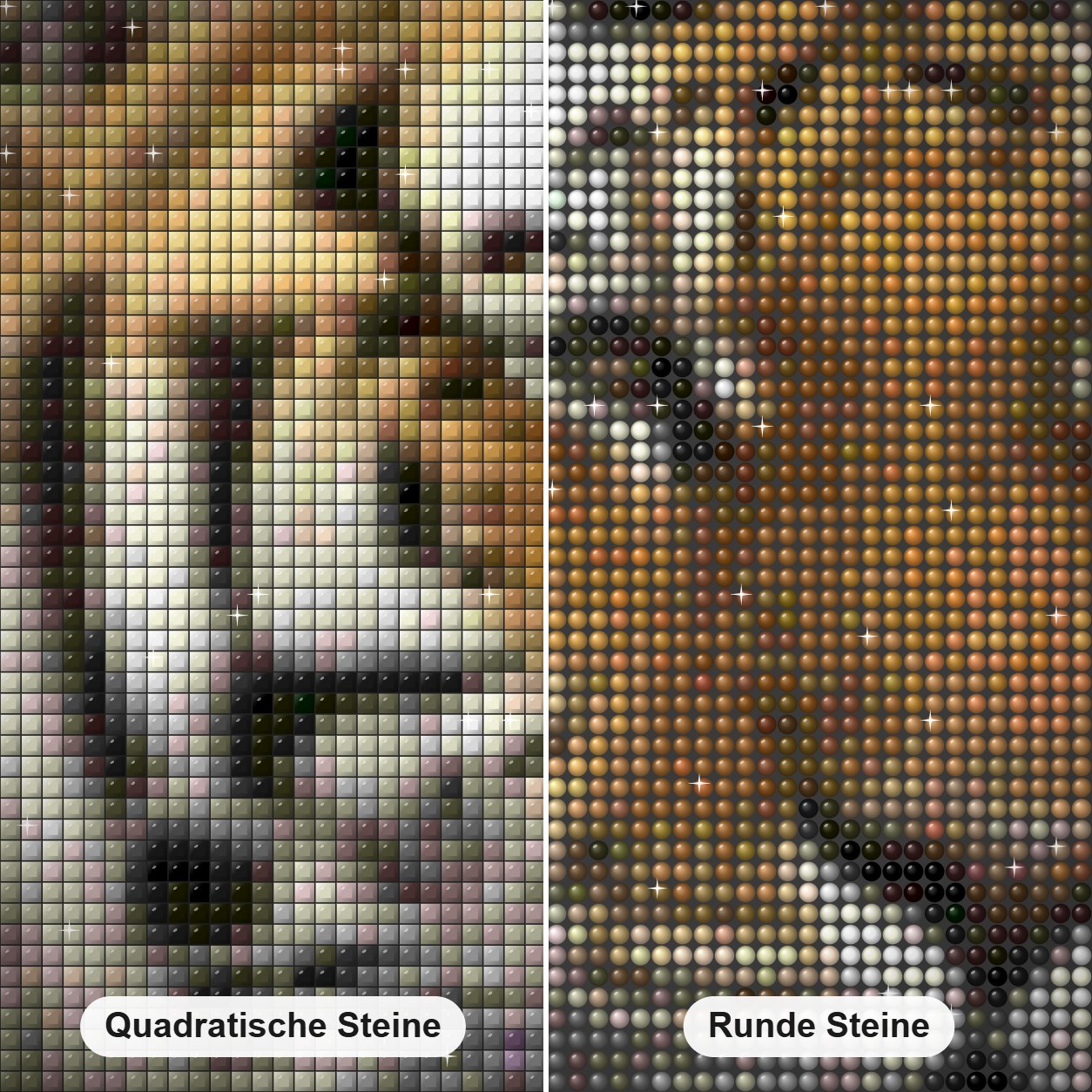 Große Katze DIY Painting Kit Diamond Painting Nahaufnahme mit quadratischen und runden Steinen