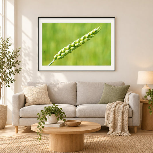grüner Weizen als gerahmtes Diamond Painting im Wohnzimmer