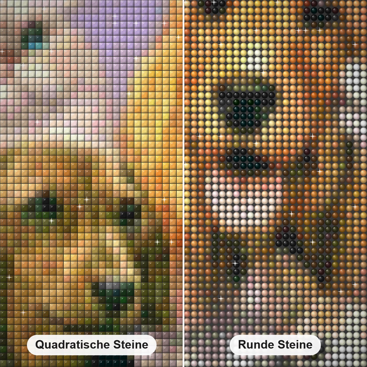 Hunde & Katzen sind Freunde Diamond Painting Nahaufnahme mit quadratischen und runden Steinen