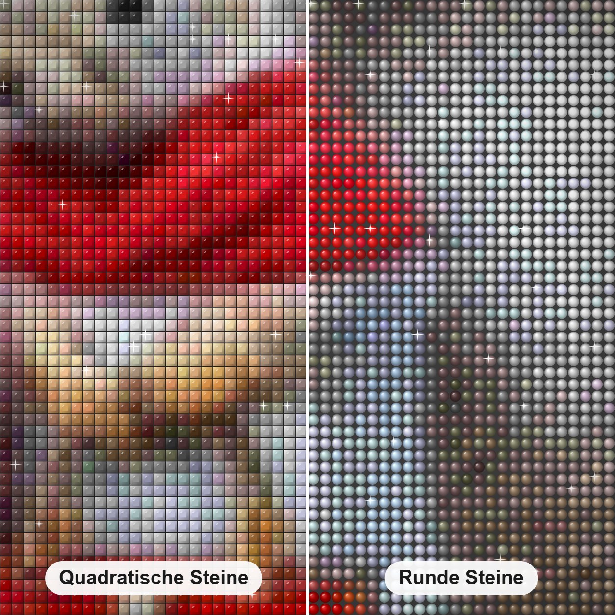Lady Squirrel - Diamant Malerei-Kit Diamond Painting Nahaufnahme mit quadratischen und runden Steinen