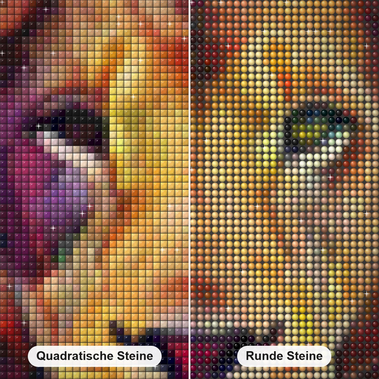 Löwenmalerei - Der König des Waldes Diamond Painting Nahaufnahme mit quadratischen und runden Steinen