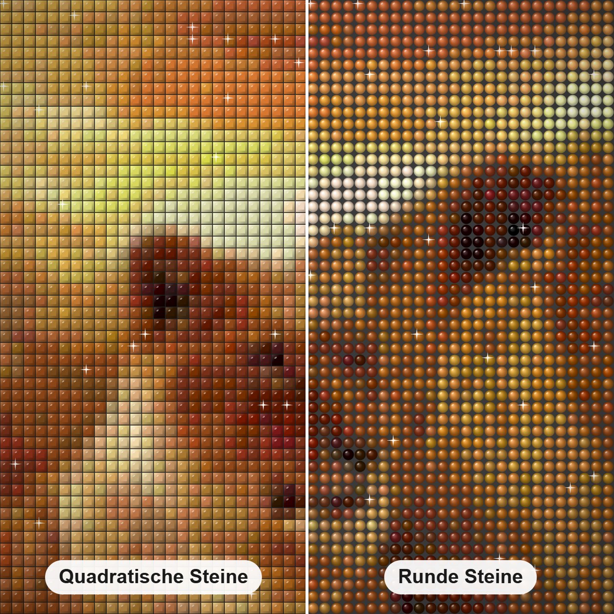 Löwenpaar in der Wüste Diamond Painting Nahaufnahme mit quadratischen und runden Steinen