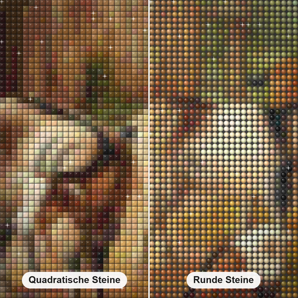 Malset für Ziegen und Hühner Diamond Painting Nahaufnahme mit quadratischen und runden Steinen