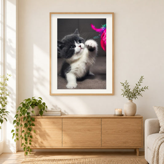 Nette Babykatze als gerahmtes Diamond Painting im Wohnzimmer