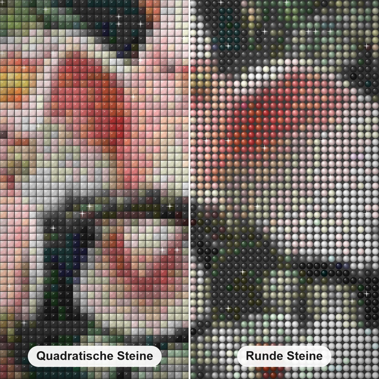 Nymphensittich Papageien & Blumen Diamond Painting Nahaufnahme mit quadratischen und runden Steinen