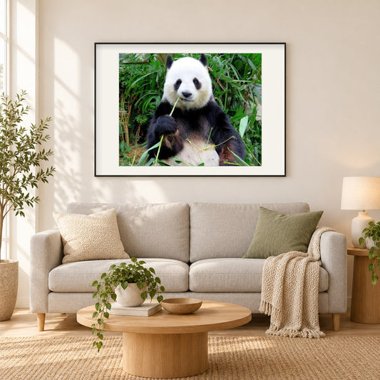 Panda Essen Gras als gerahmtes Diamond Painting im Wohnzimmer