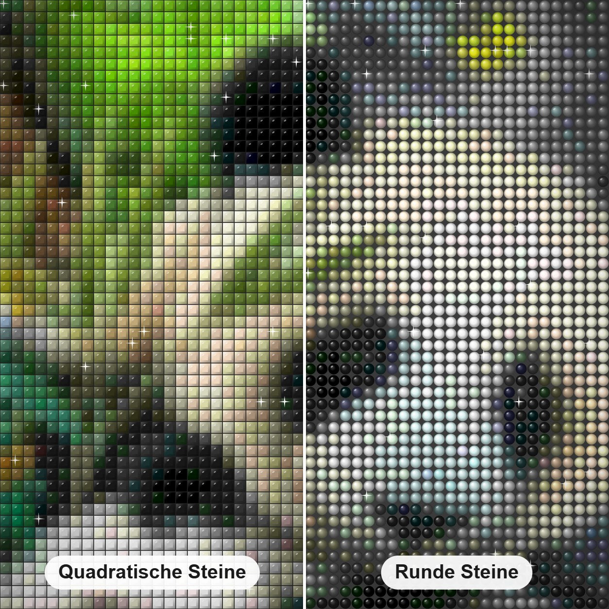 Pandas, Spatzen & Schmetterlinge Diamond Painting Nahaufnahme mit quadratischen und runden Steinen