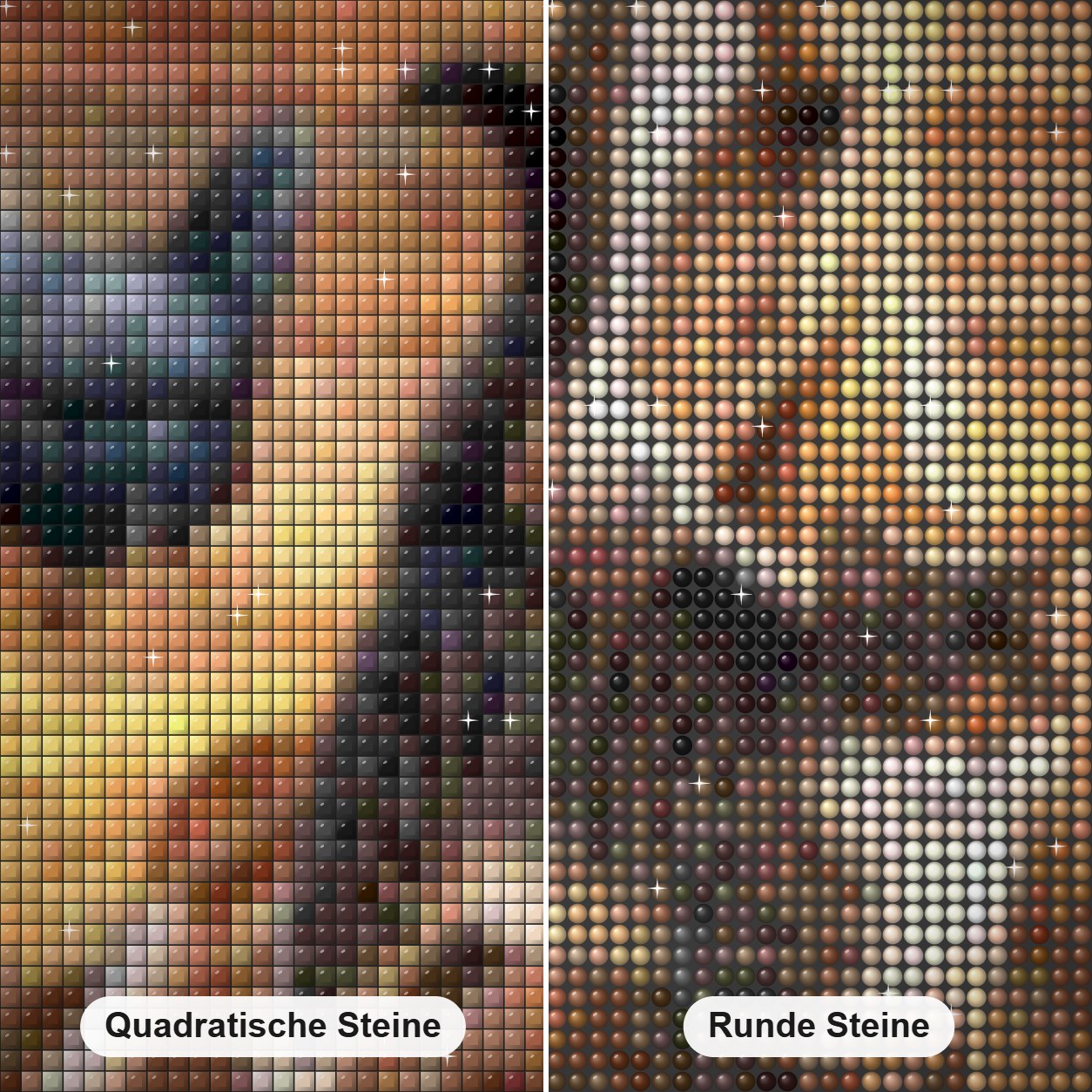 Pferd, Katze & Huhn Diamond Painting Nahaufnahme mit quadratischen und runden Steinen