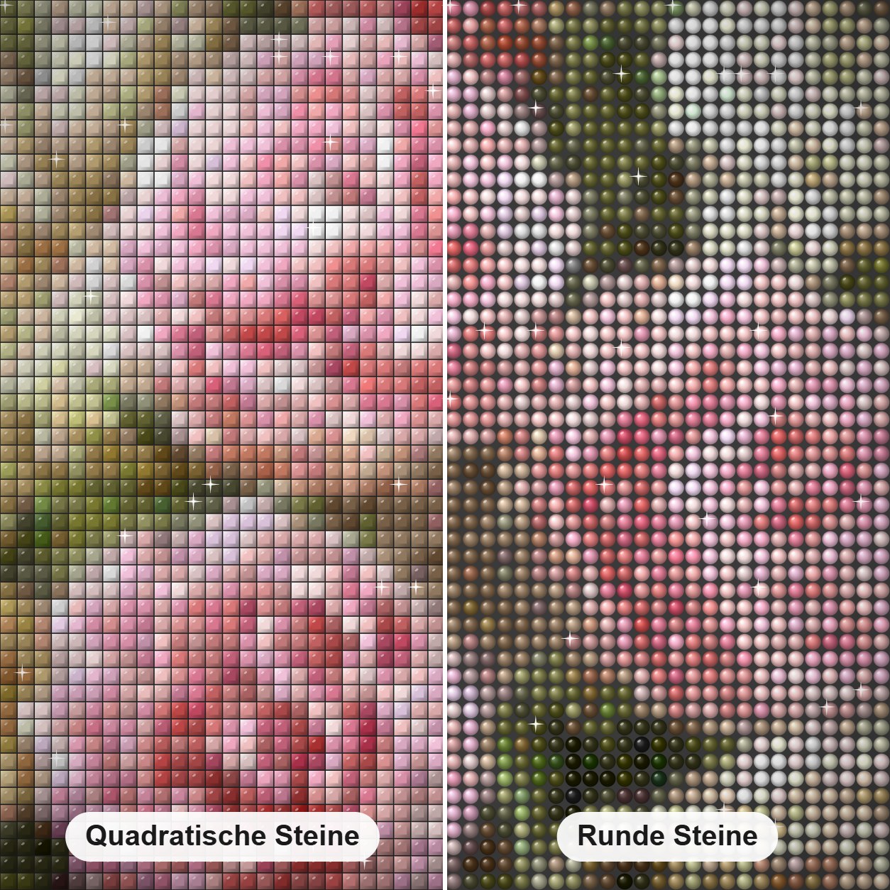 Rosa & weiße Pfingstrose Diamond Painting Nahaufnahme mit quadratischen und runden Steinen