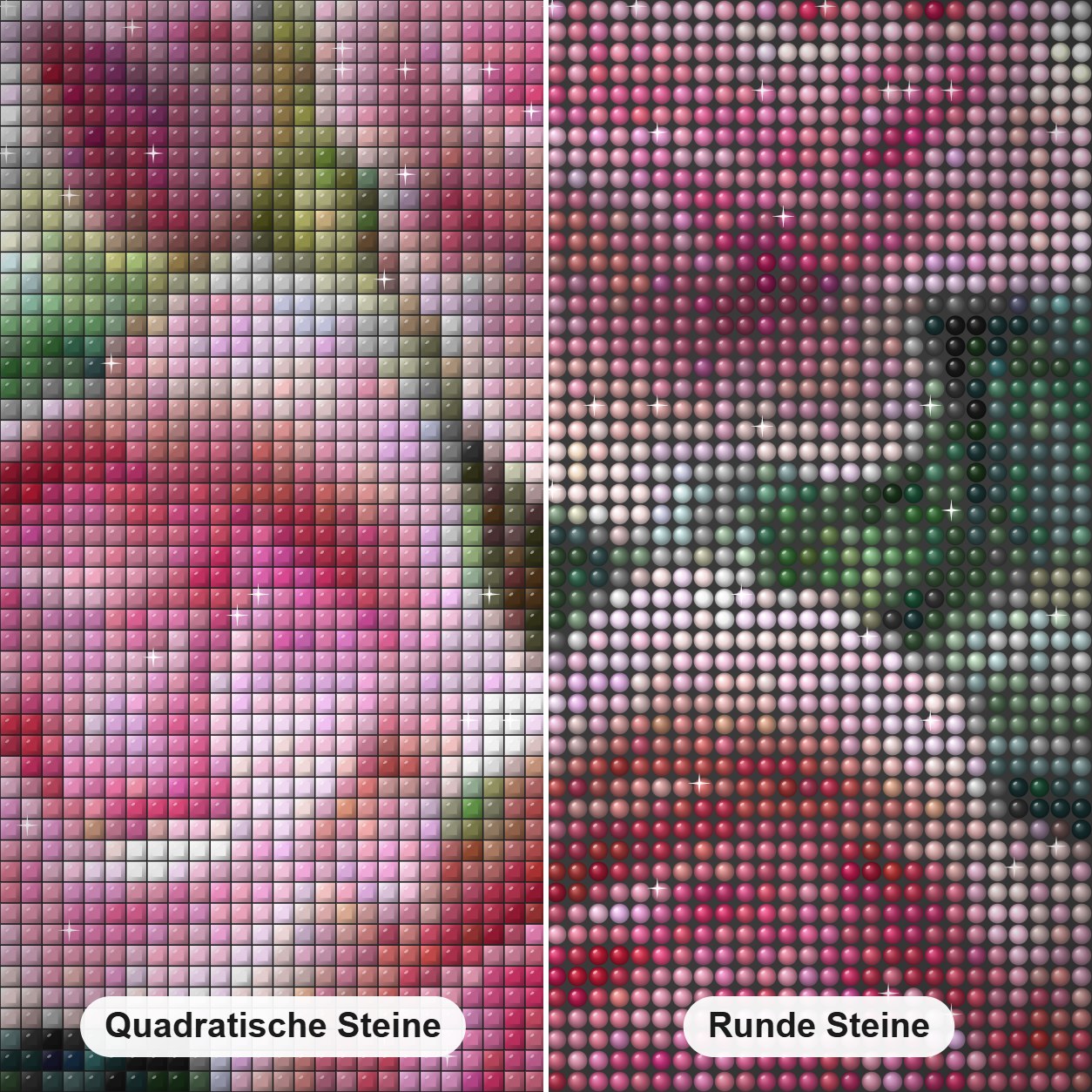 Rosenschönheit - Diamanten malen Diamond Painting Nahaufnahme mit quadratischen und runden Steinen