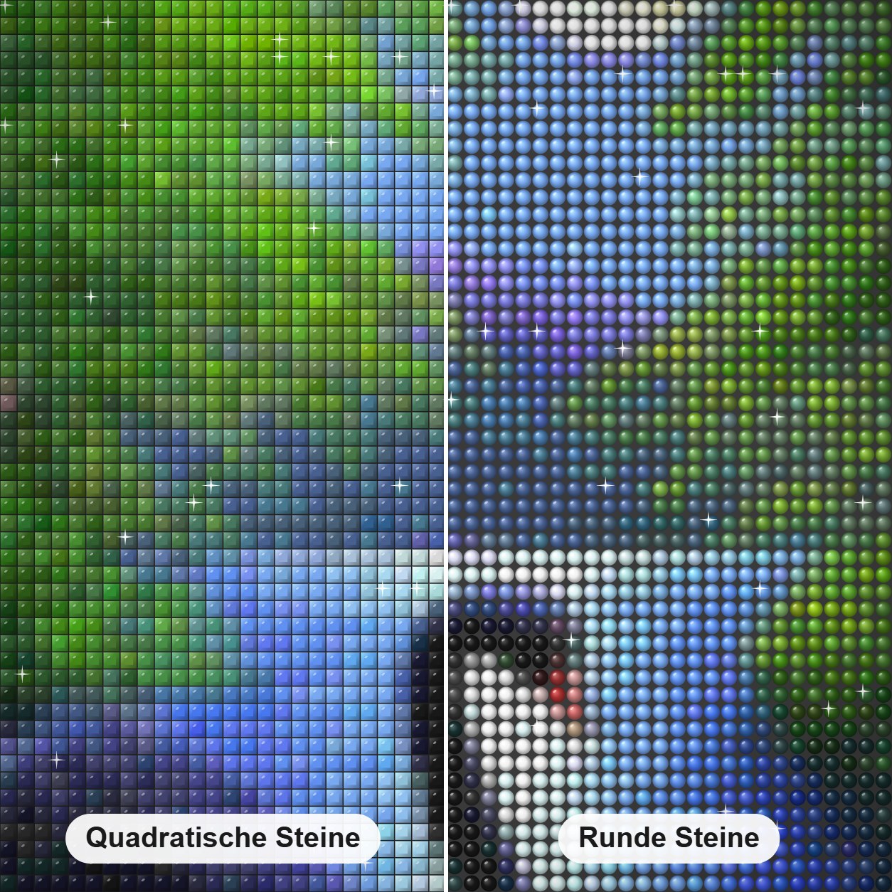 Schwarzer Schwan im Wasser Diamond Painting Nahaufnahme mit quadratischen und runden Steinen