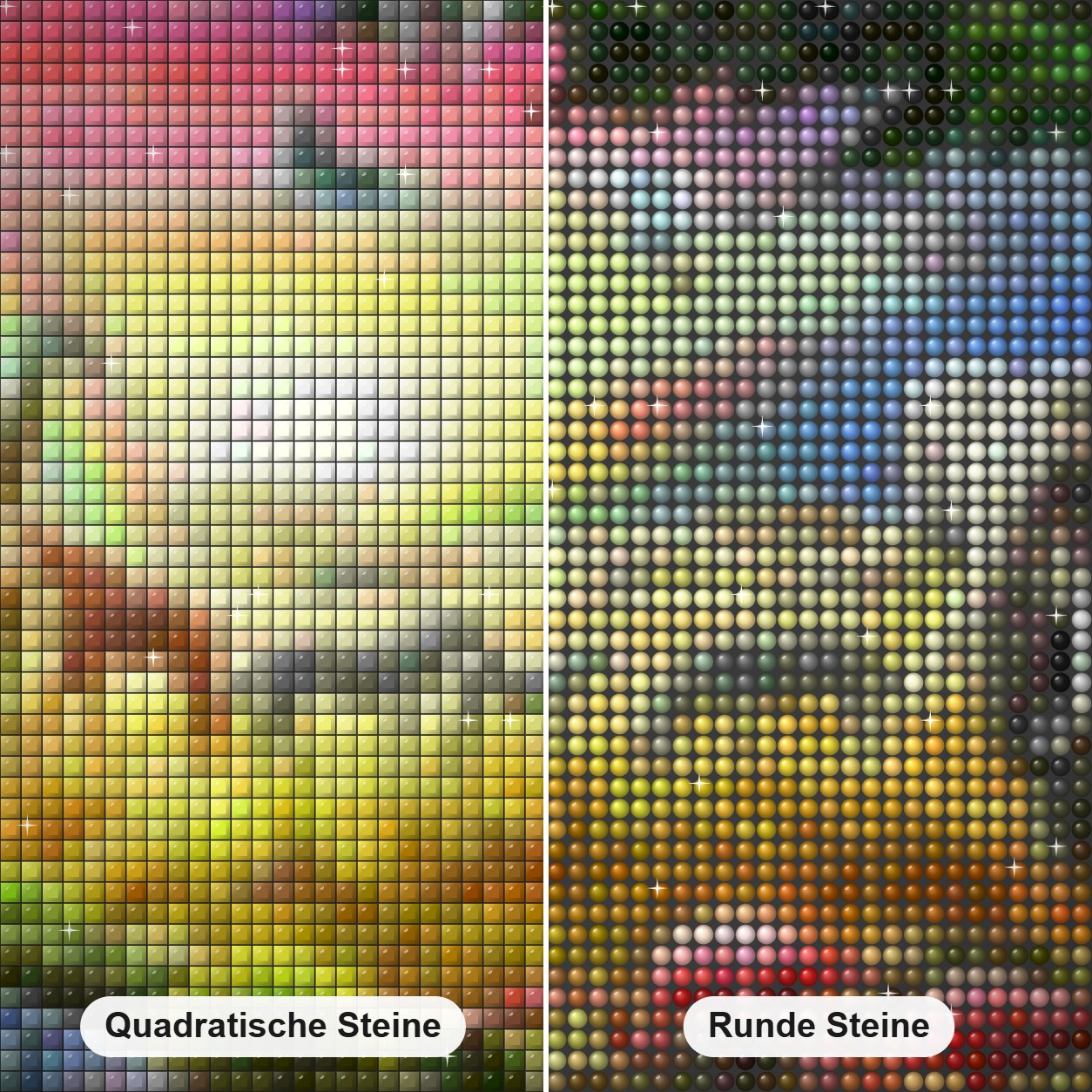 Waldtiere & Vögel malen Diamond Painting Nahaufnahme mit quadratischen und runden Steinen