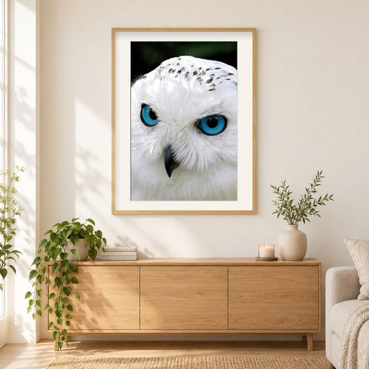 Weiße Eule mit blauen Augen als gerahmtes Diamond Painting im Wohnzimmer