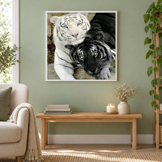 Weiße und schwarze Tiger als gerahmtes Diamond Painting im Wohnzimmer