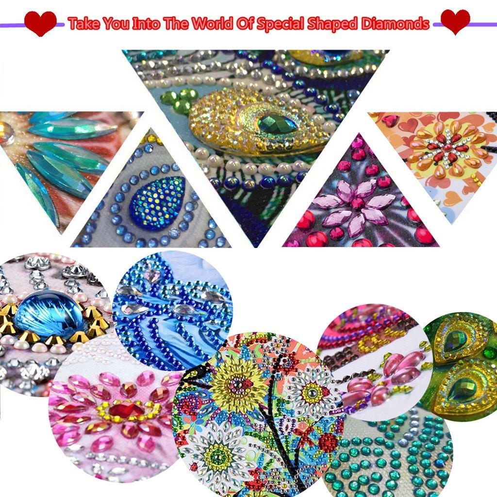 Bunte fantastische Mandala-Kunst - Teilbohrer - Diamond Painting