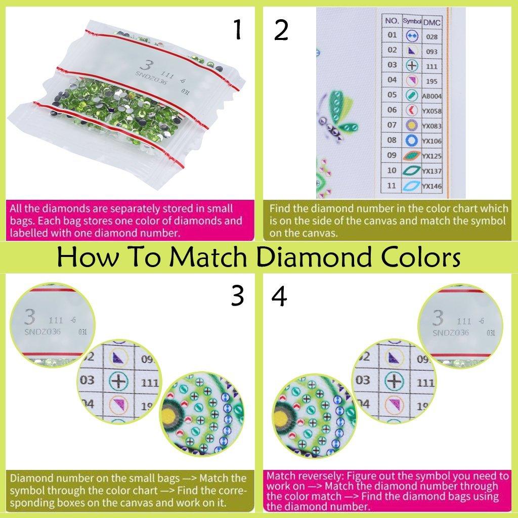 Ein Schildkrötenleben - Spezielles Diamond Painting Kit - Diamond Painting