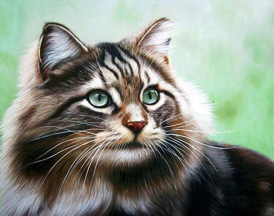 Entzückende Katze - Diamond Painting