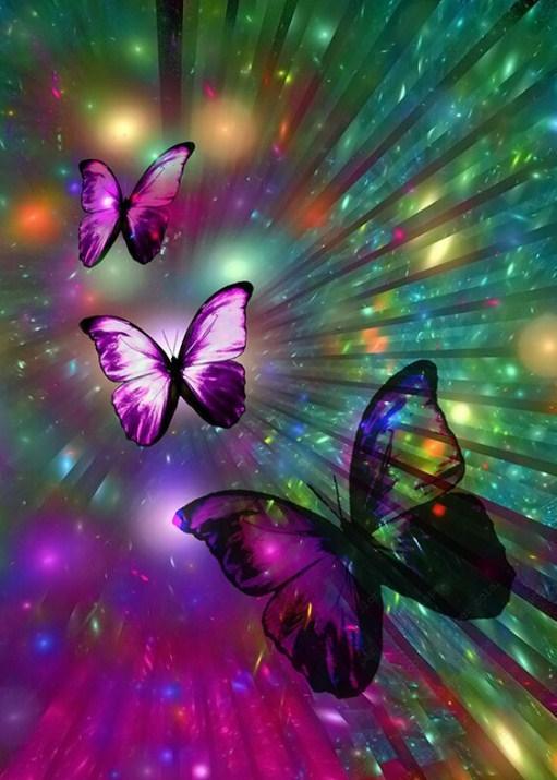 Erstaunliche Schmetterlinge - malen mit Diamante - Diamond Painting