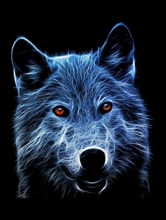 Erstaunliche Wolf mit orangefarbenen Augen - Diamond Painting