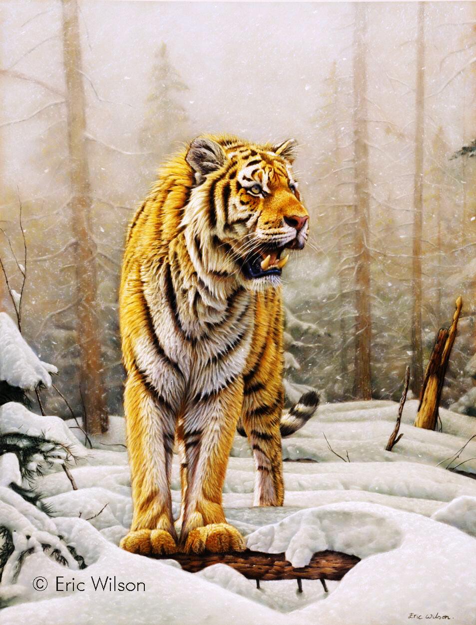 Sibirischer Amur-Tiger -  Kunst des Eric Wilson - Diamond Painting